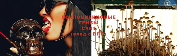 скорость Арсеньев
