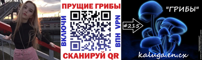 наркошоп  Малоархангельск  Псилоцибиновые грибы Psilocybe 